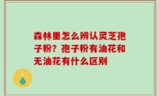森林里怎么辨认灵芝孢子粉？孢子粉有油花和无油花有什么区别