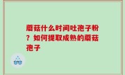 蘑菇什么时间吐孢子粉？如何提取成熟的蘑菇孢子