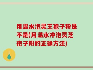 用温水泡灵芝孢子粉是不是(用温水冲泡灵芝孢子粉的正确方法)