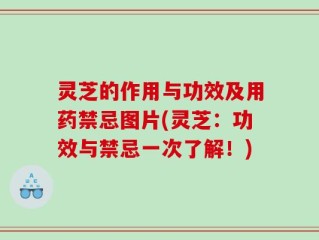 灵芝的作用与功效及用药禁忌图片(灵芝：功效与禁忌一次了解！)
