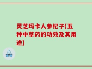 灵芝玛卡人参杞子(五种中草药的功效及其用途)