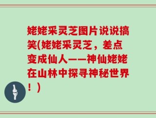 姥姥采灵芝图片说说搞笑(姥姥采灵芝，差点变成仙人——神仙姥姥在山林中探寻神秘世界！)