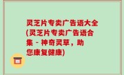 灵芝片专卖广告语大全(灵芝片专卖广告语合集 - 神奇灵草，助您康复健康)