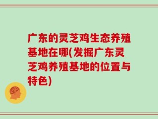 广东的灵芝鸡生态养殖基地在哪(发掘广东灵芝鸡养殖基地的位置与特色)