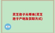 灵芝孢子从哪来(灵芝孢子产地及获取方式)