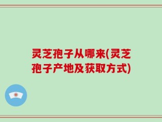 灵芝孢子从哪来(灵芝孢子产地及获取方式)