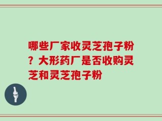 哪些厂家收灵芝孢子粉？大形药厂是否收购灵芝和灵芝孢子粉