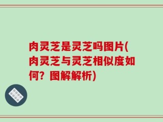 肉灵芝是灵芝吗图片(肉灵芝与灵芝相似度如何？图解解析)