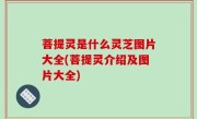 菩提灵是什么灵芝图片大全(菩提灵介绍及图片大全)