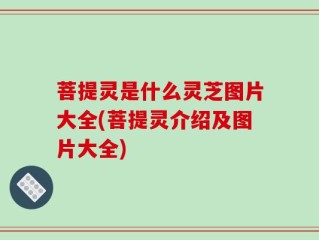 菩提灵是什么灵芝图片大全(菩提灵介绍及图片大全)