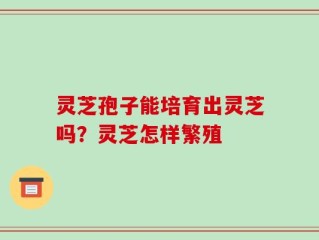 灵芝孢子能培育出灵芝吗？灵芝怎样繁殖