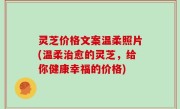 灵芝价格文案温柔照片(温柔治愈的灵芝，给你健康幸福的价格)
