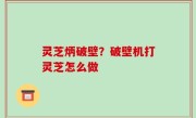 灵芝炳破壁？破壁机打灵芝怎么做