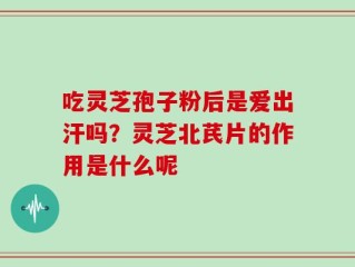 吃灵芝孢子粉后是爱出汗吗？灵芝北芪片的作用是什么呢
