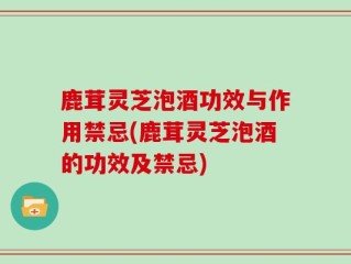 鹿茸灵芝泡酒功效与作用禁忌(鹿茸灵芝泡酒的功效及禁忌)