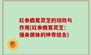 红参鹿茸灵芝的功效与作用(红参鹿茸灵芝：强身健体的神奇组合)