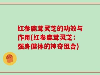 红参鹿茸灵芝的功效与作用(红参鹿茸灵芝：强身健体的神奇组合)