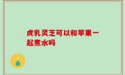 虎乳灵芝可以和苹果一起煮水吗
