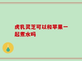 虎乳灵芝可以和苹果一起煮水吗