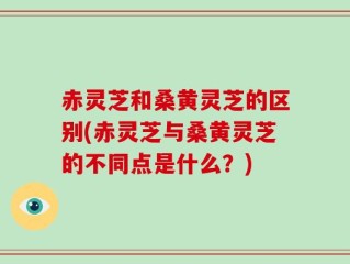 赤灵芝和桑黄灵芝的区别(赤灵芝与桑黄灵芝的不同点是什么？)