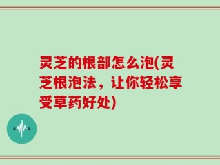 灵芝的根部怎么泡(灵芝根泡法，让你轻松享受草药好处)