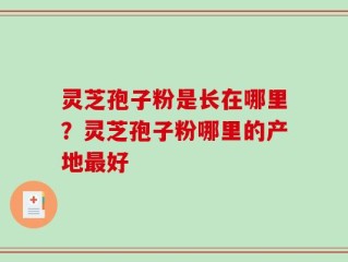 灵芝孢子粉是长在哪里？灵芝孢子粉哪里的产地最好