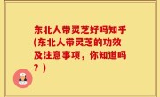 东北人带灵芝好吗知乎(东北人带灵芝的功效及注意事项，你知道吗？)