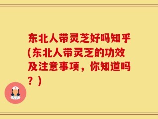 东北人带灵芝好吗知乎(东北人带灵芝的功效及注意事项，你知道吗？)