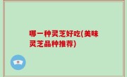 哪一种灵芝好吃(美味灵芝品种推荐)