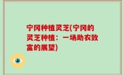宁冈种植灵芝(宁冈的灵芝种植：一场助农致富的展望)