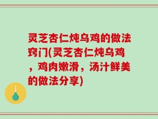 灵芝杏仁炖乌鸡的做法窍门(灵芝杏仁炖乌鸡，鸡肉嫩滑，汤汁鲜美的做法分享)