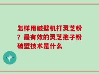 怎样用破壁机打灵芝粉？最有效的灵芝孢子粉破壁技术是什么