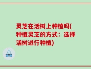 灵芝在活树上种植吗(种植灵芝的方式：选择活树进行种植)