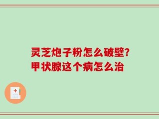 灵芝炮子粉怎么破壁？甲状腺这个病怎么治
