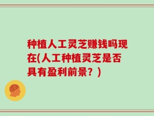 种植人工灵芝赚钱吗现在(人工种植灵芝是否具有盈利前景？)