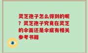 灵芝孢子怎么得到的呢？灵芝孢子究竟在灵芝的伞面还是伞底有相关参考书籍