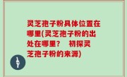 灵芝孢子粉具体位置在哪里(灵芝孢子粉的出处在哪里？  初探灵芝孢子粉的来源)
