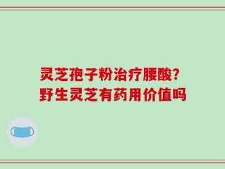 灵芝孢子粉治疗腰酸？野生灵芝有药用价值吗