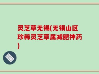 灵芝草无锡(无锡山区珍稀灵芝草属减肥神药)