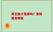 灵芝孢子发胖吗？发物菜有哪些