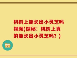 桃树上能长出小灵芝吗视频(探秘：桃树上真的能长出小灵芝吗？)