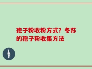 孢子粉收粉方式？冬荪的孢子粉收集方法