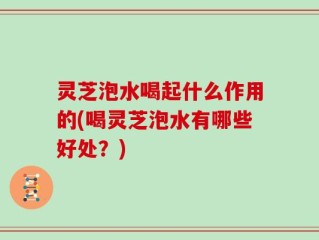 灵芝泡水喝起什么作用的(喝灵芝泡水有哪些好处？)