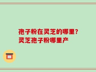 孢子粉在灵芝的哪里？灵芝孢子粉哪里产