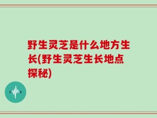 野生灵芝是什么地方生长(野生灵芝生长地点探秘)