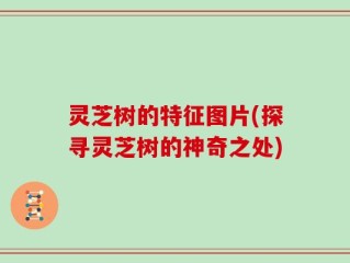 灵芝树的特征图片(探寻灵芝树的神奇之处)