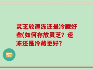灵芝放速冻还是冷藏好些(如何存放灵芝？速冻还是冷藏更好？