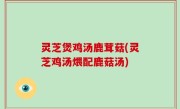 灵芝煲鸡汤鹿茸菇(灵芝鸡汤煨配鹿菇汤)