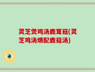 灵芝煲鸡汤鹿茸菇(灵芝鸡汤煨配鹿菇汤)