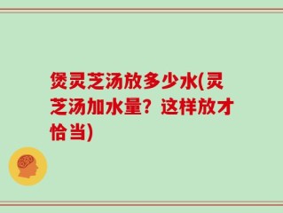 煲灵芝汤放多少水(灵芝汤加水量？这样放才恰当)